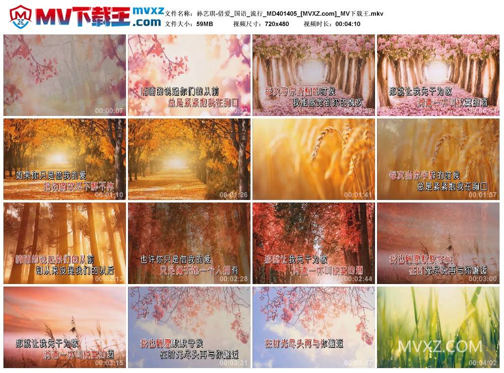 孙艺琪-借爱_国语_流行_MD401405